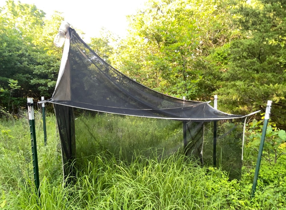 Townes Style Malaise Trap Flight Intercept Insect Sampling Device Entomology
