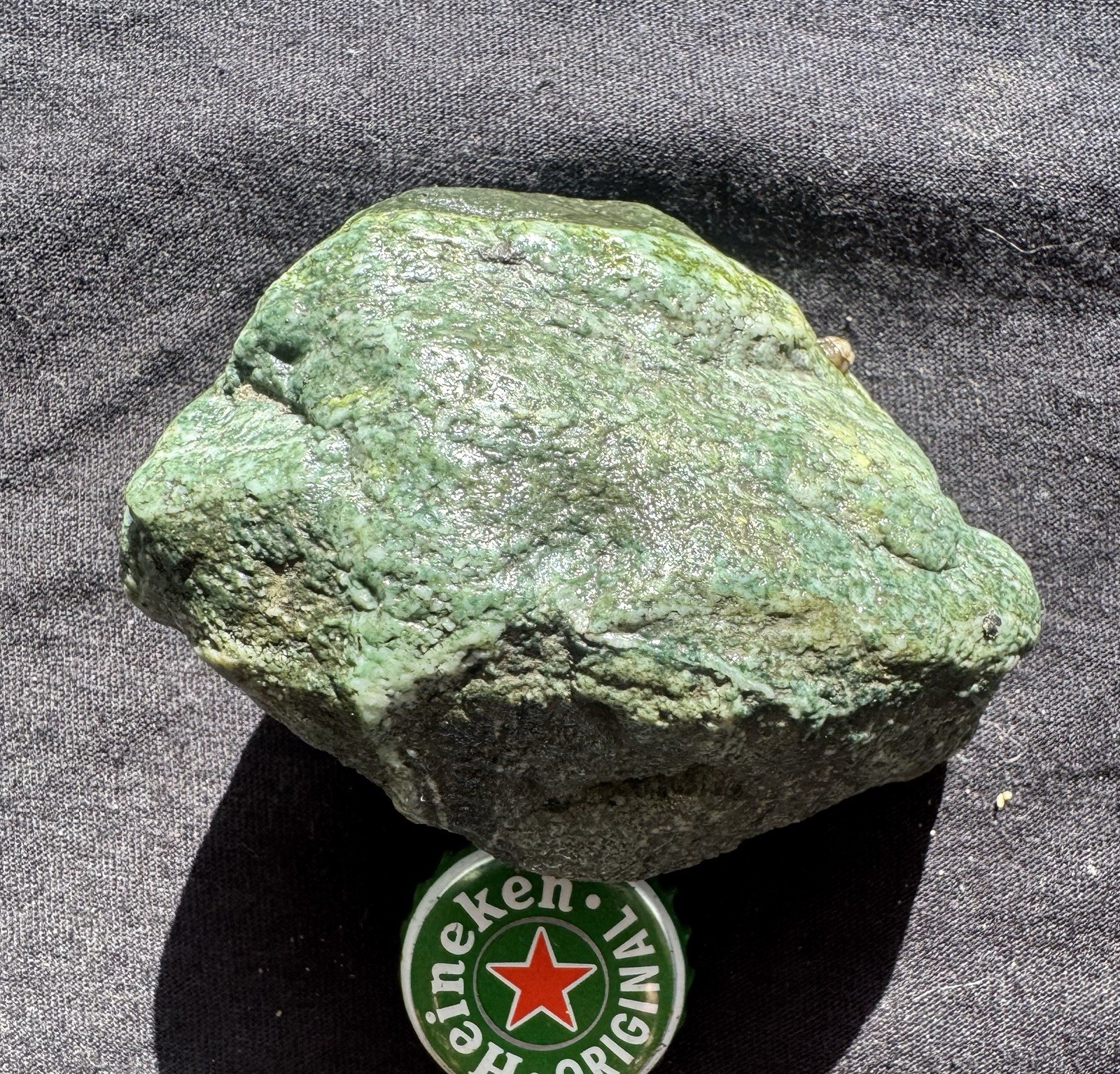 Fossil Fish Teeth & Vertebrae - 192g High-Grade Mineralization - WA ,