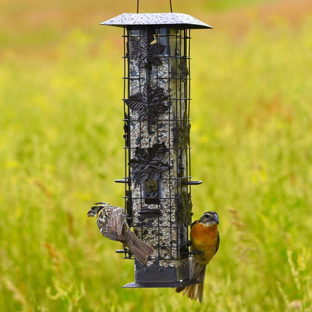 Squirrel-Be-Gone Squirrel Proof Bird Feeder - 2 Lb. Capacity