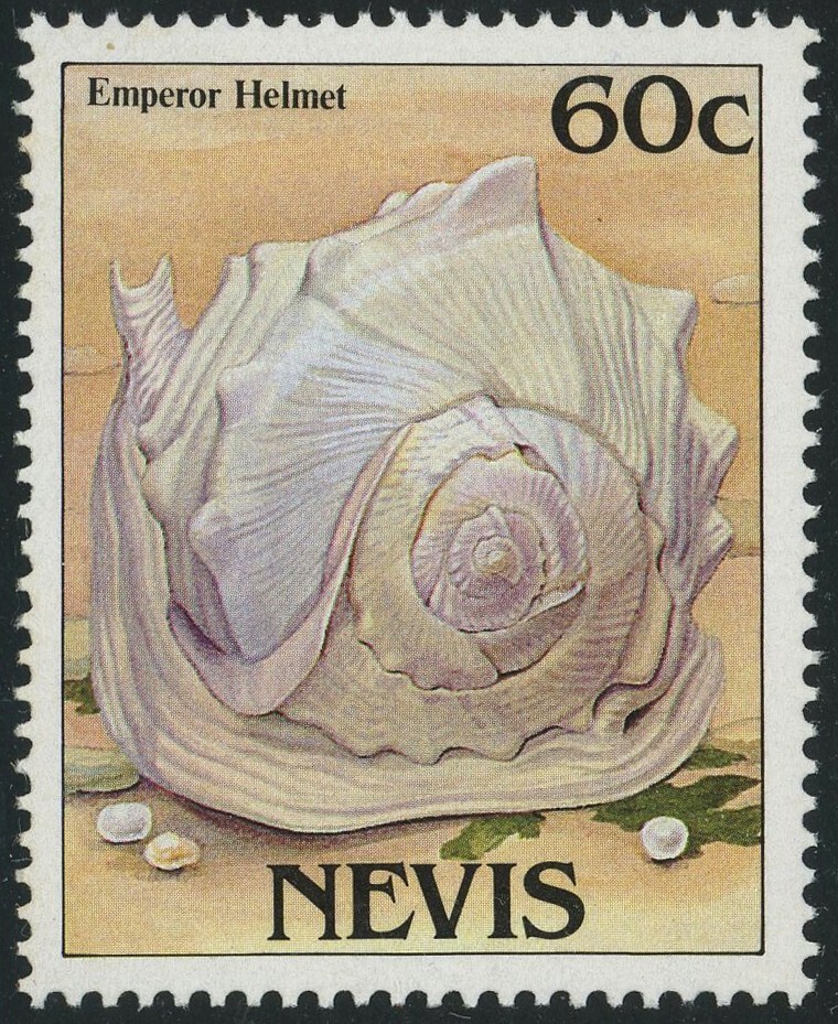 Nevis Shells Inverted Watermark Error 60c Postage 1988 Mint NH VF
