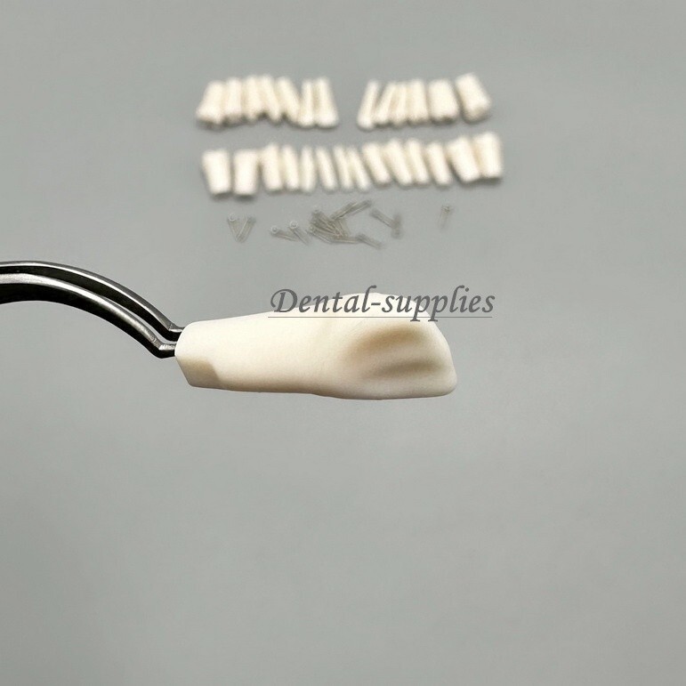 Dental Study Teeth Models Technician Practice Preparation Removable Tooth Nissin
