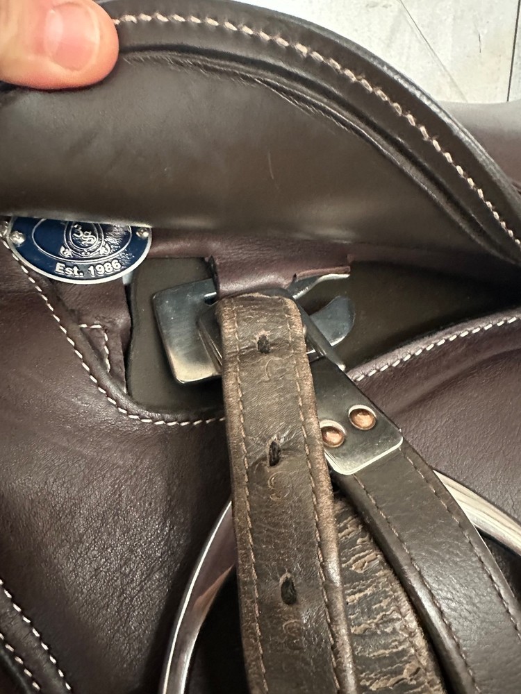Schleese Cosmic Jump Saddle