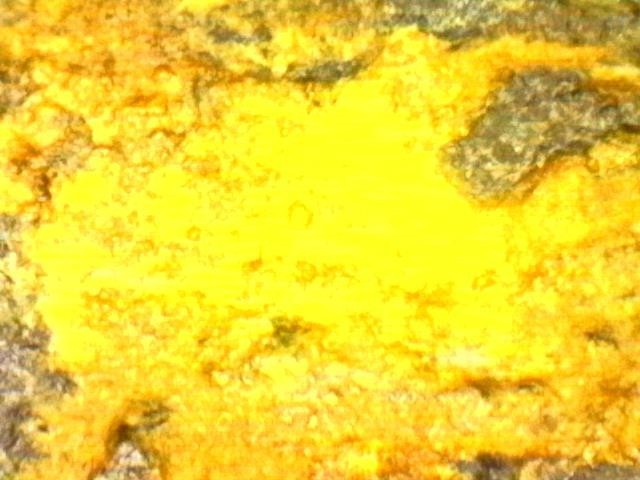 Gold and Platinum Mineral Specimen/ Black Hills South Dakota