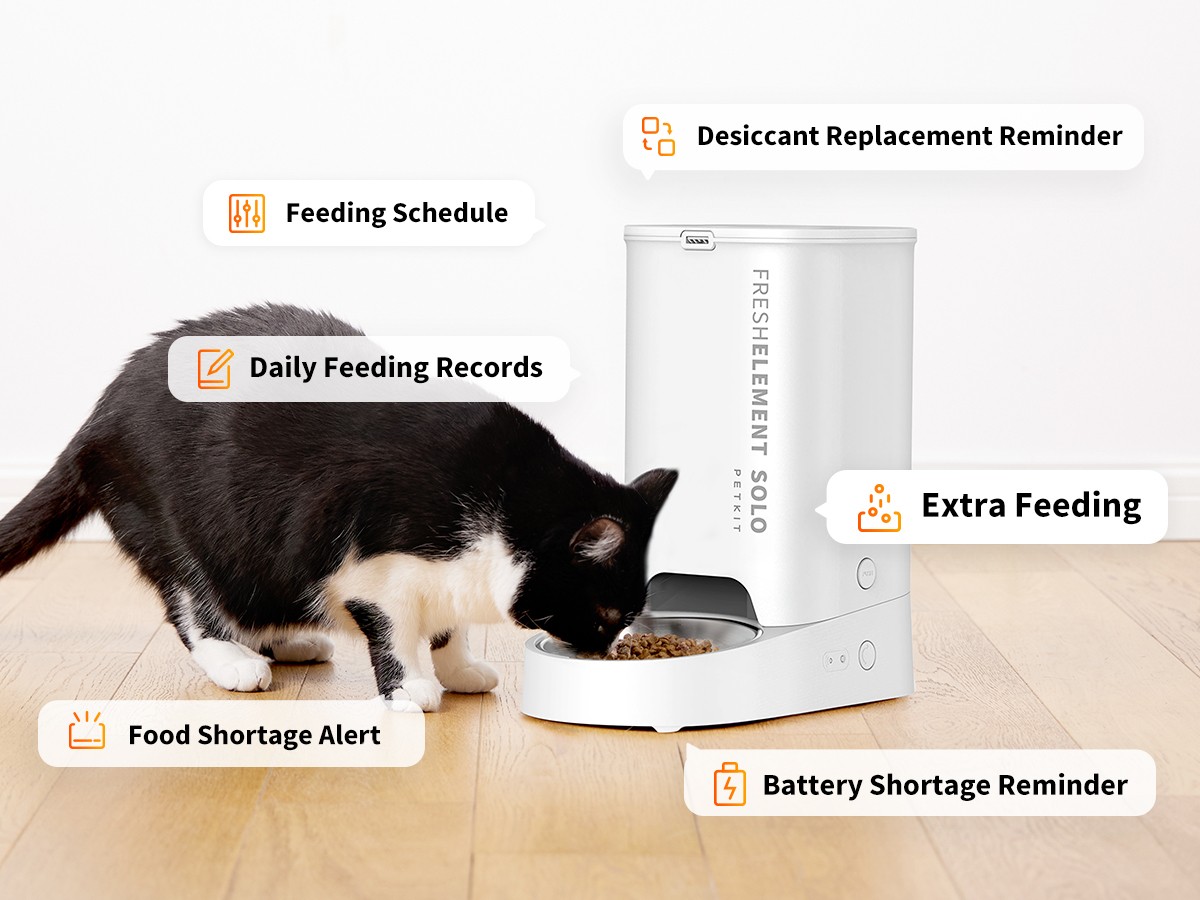 PETKIT 3L Automatic Cat Feeder, 2.4G WiFi Automatic Dog Feeder, Schedule Feeding