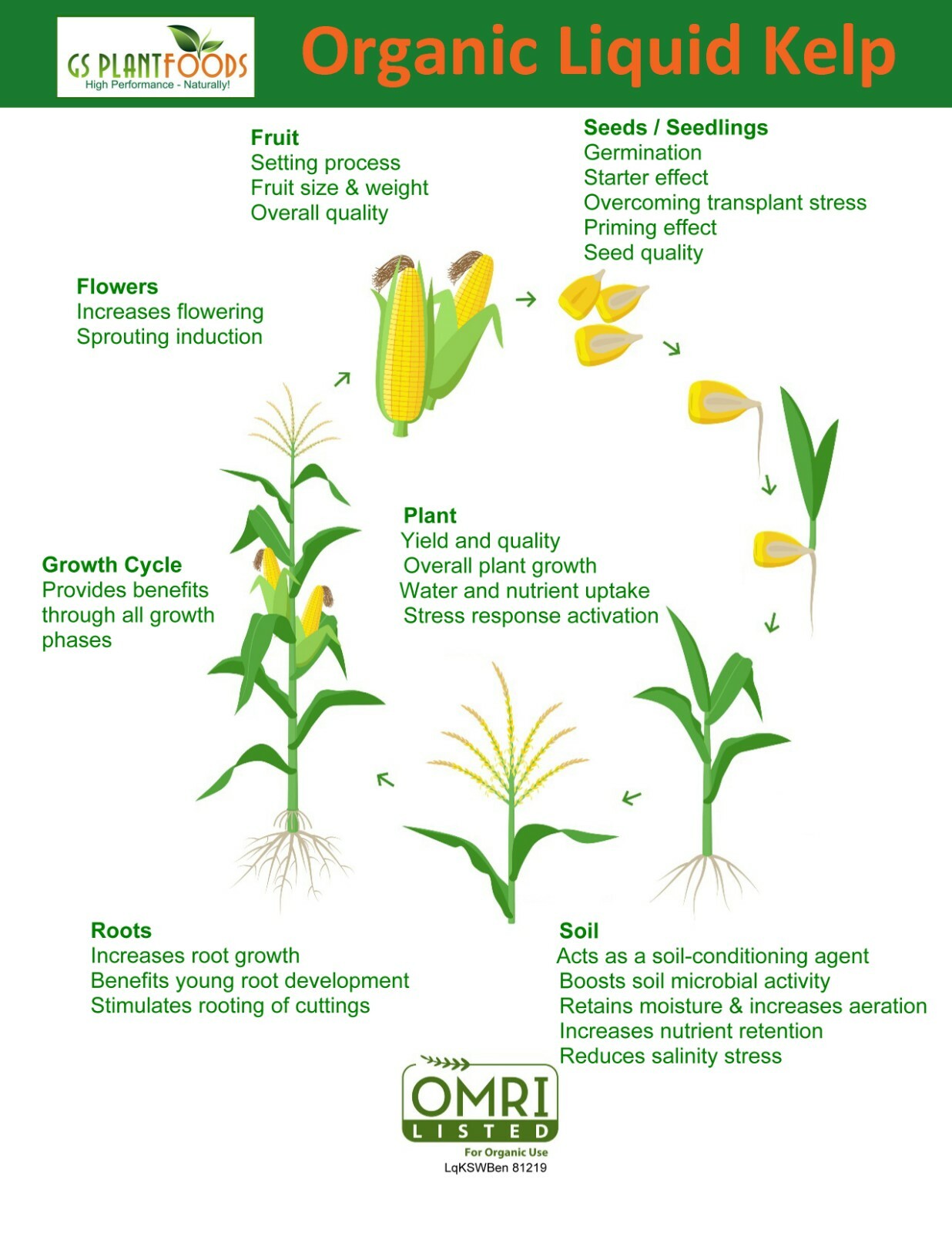 Liquid Kelp Organic Seaweed Fertilizer, 1 Gallon of concentrate