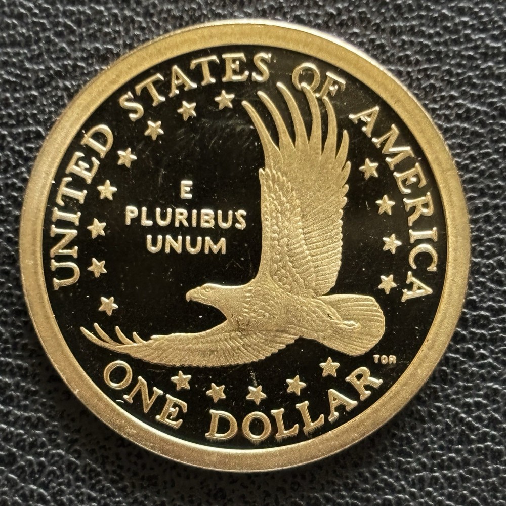 2007 S Proof Sacagawea Dollar