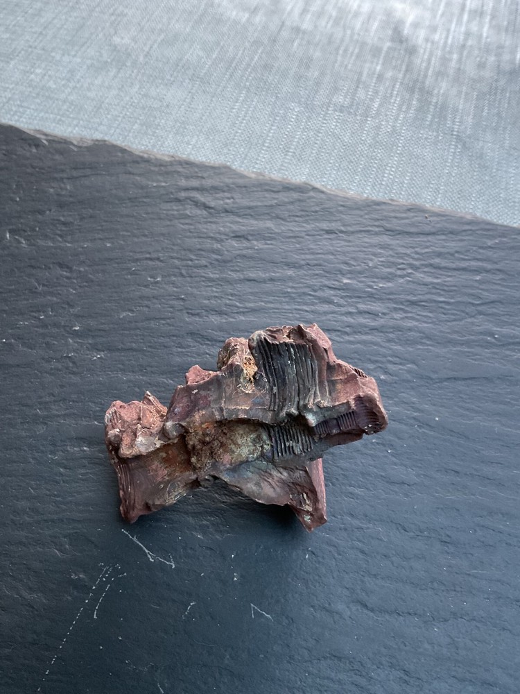 WW1 Brass Fragment Relic
