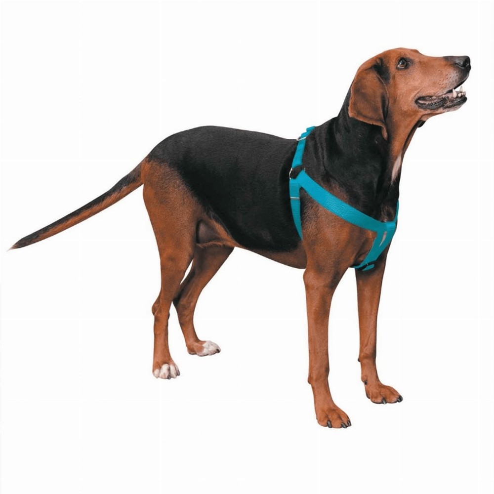 2 Step Pet Harness
