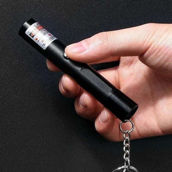 Portable Light Laser Pointer Rechargeable Flashlight Cat Toy Adjustable FocusRed