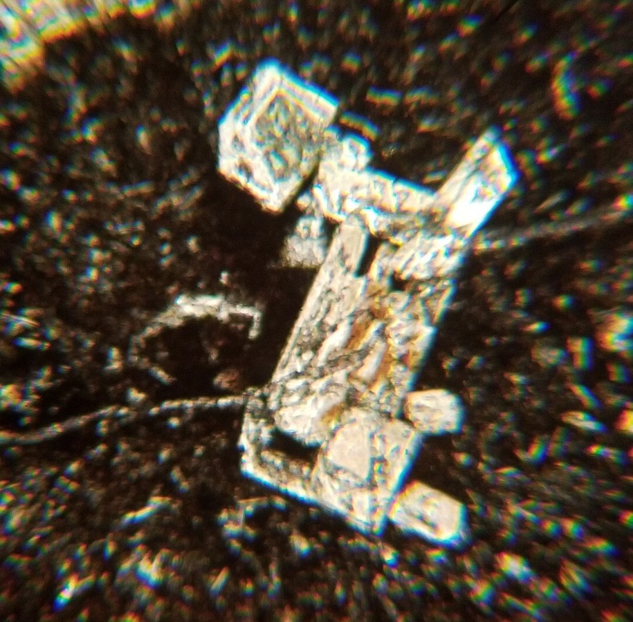 Thin-section Mount from DSDP Hole 417A Petrographic Microscope Slide 417A-46-4