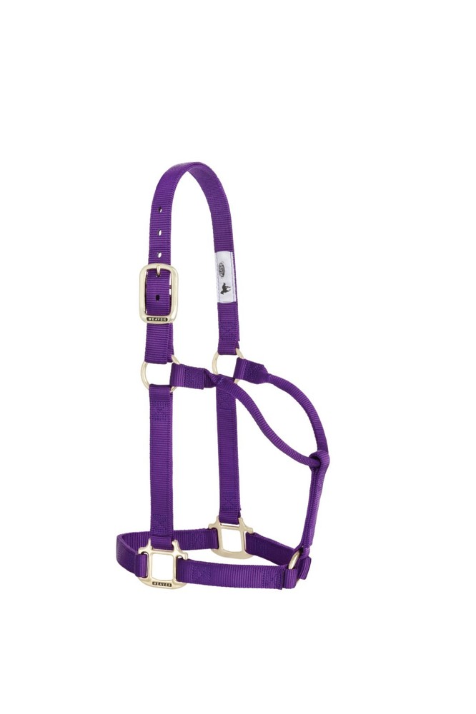 Original Non-Adjustable Halter , 1" Purple