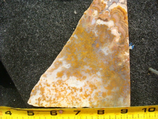 riveria plume slabs