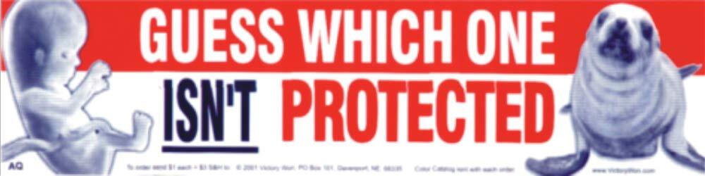 Guess Which One Isn't Protected Pro-Life Bumper Sticker
