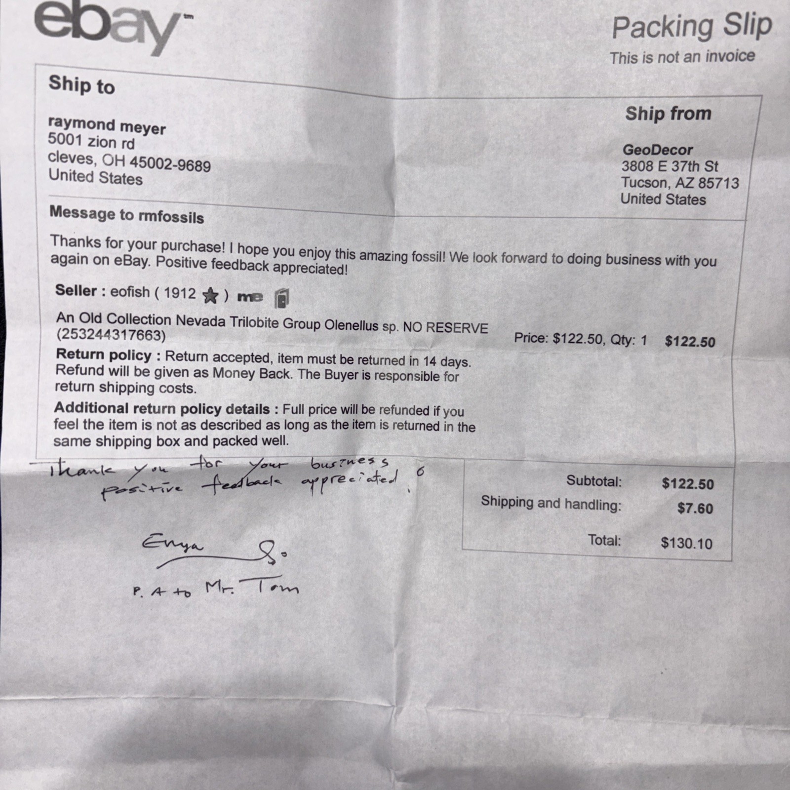 Double Olenellus From Nevada Lower Cambrian Not Prepped