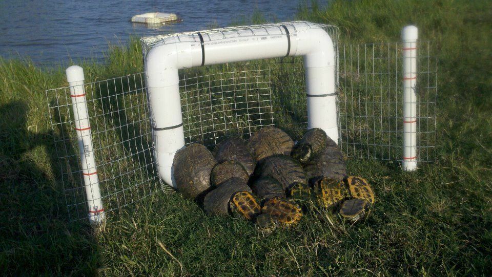 Floating Turtle Traps, No Bait Required, Great for Snapping Turtles, Humane