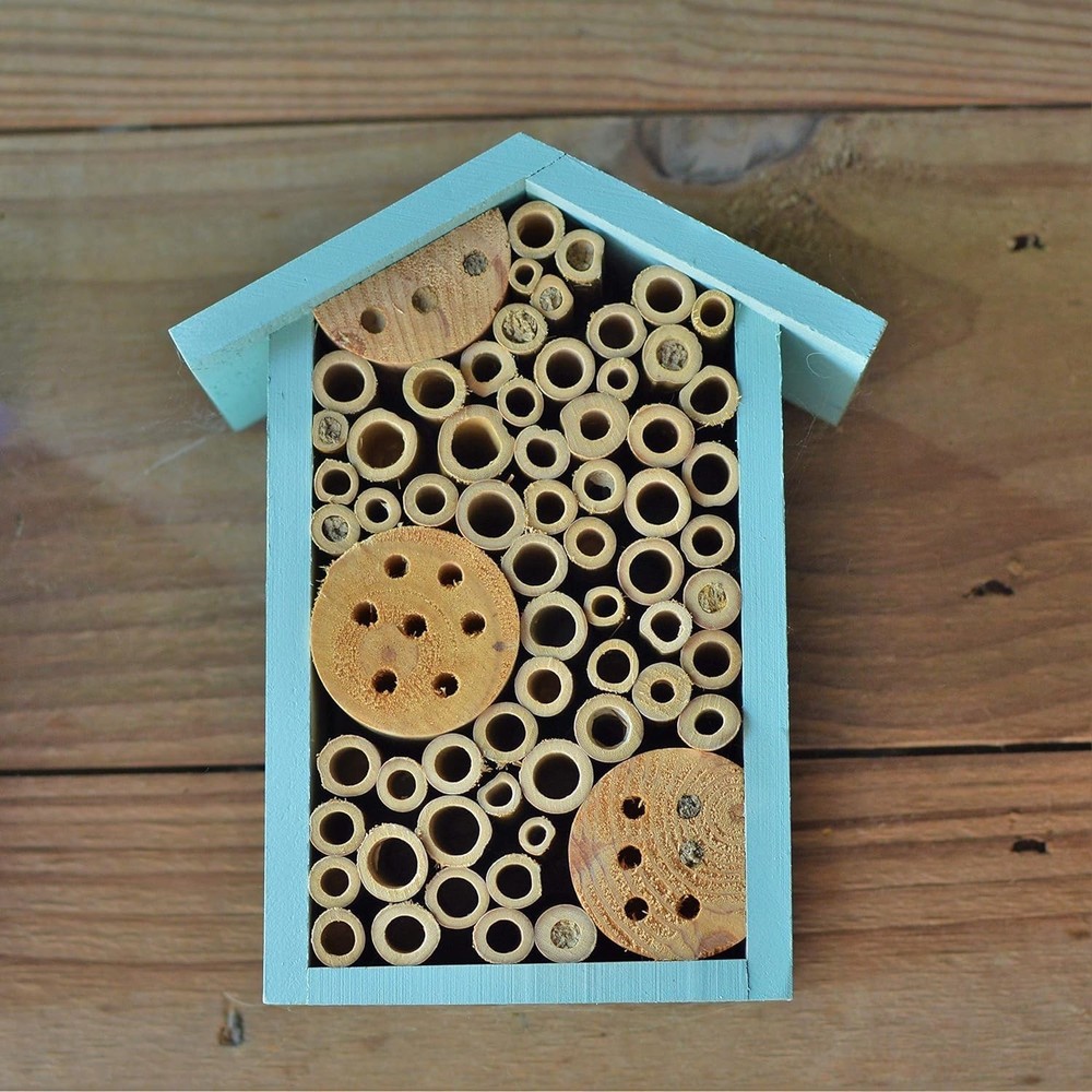 Bird Products -C Teal Bee House