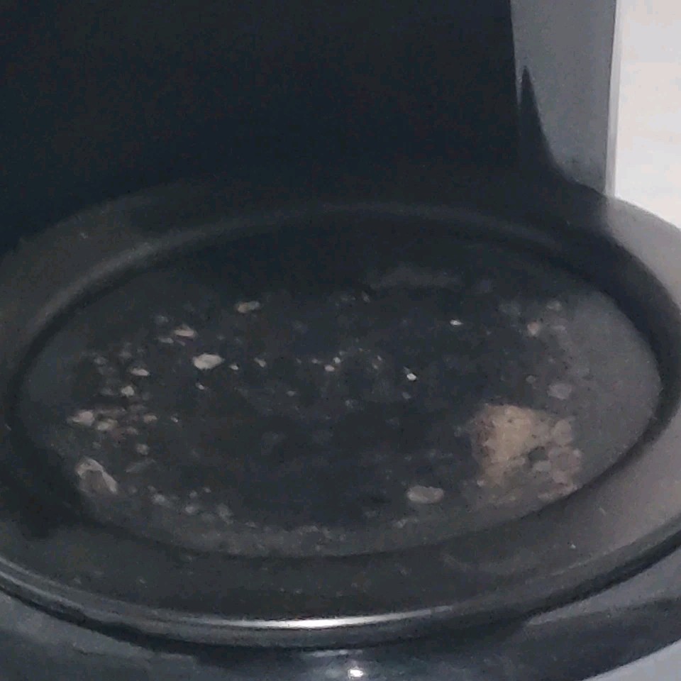 Mr. Coffee Machines 4-Cup Switch Maker, Black TF5