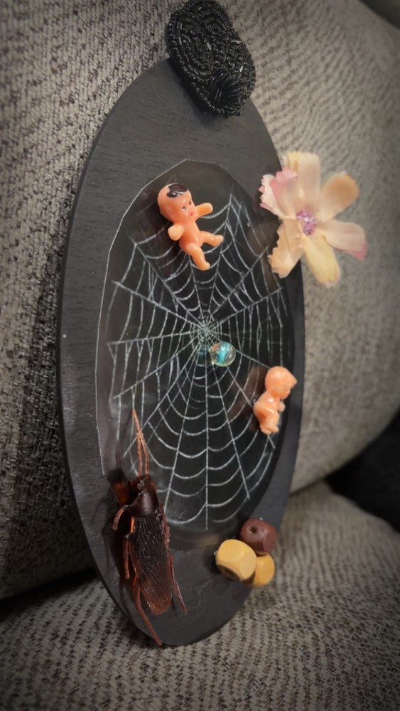 Baby Spider Web Oddity Plaque Wall Decor Weird OOAK