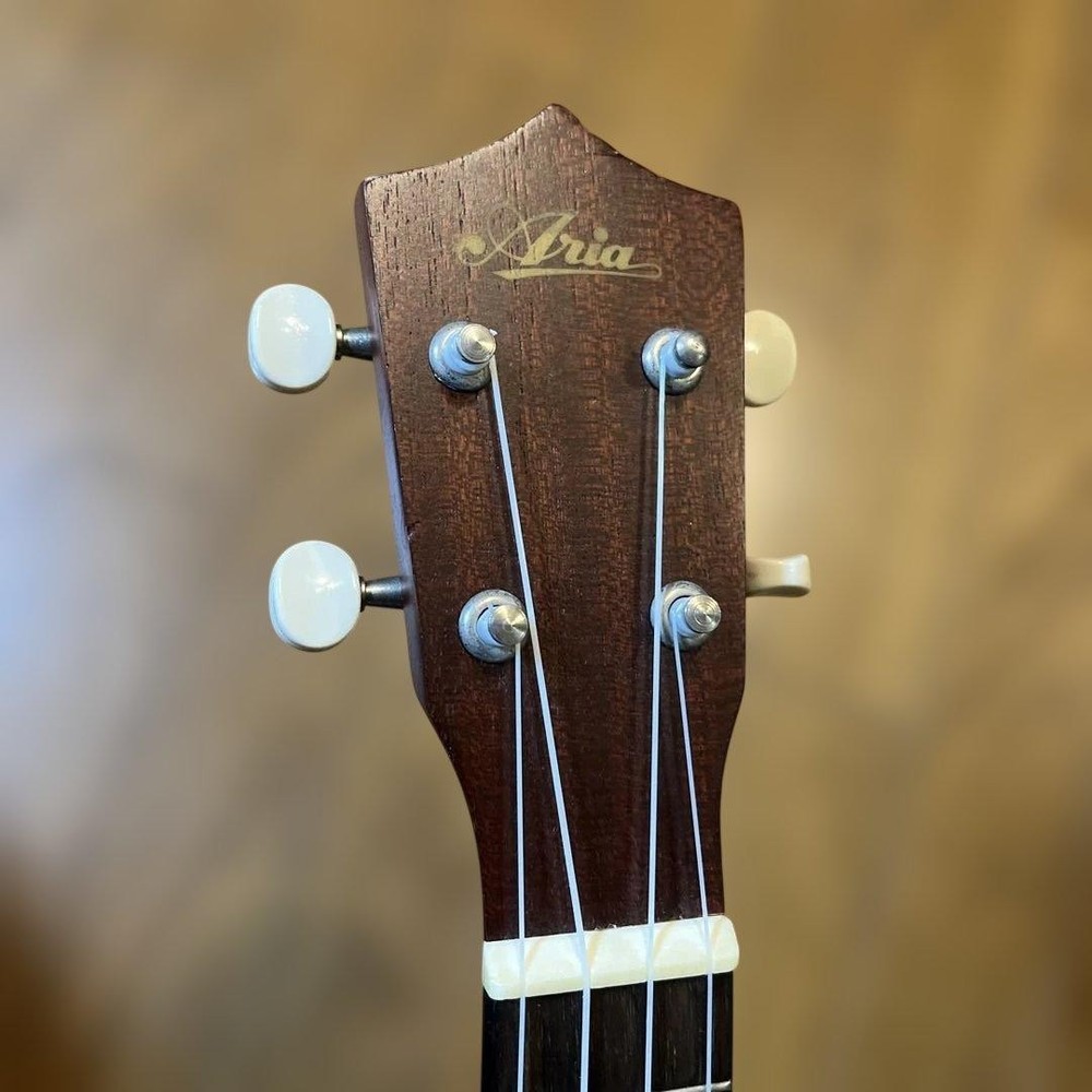 ARIA soprano ukulele with case