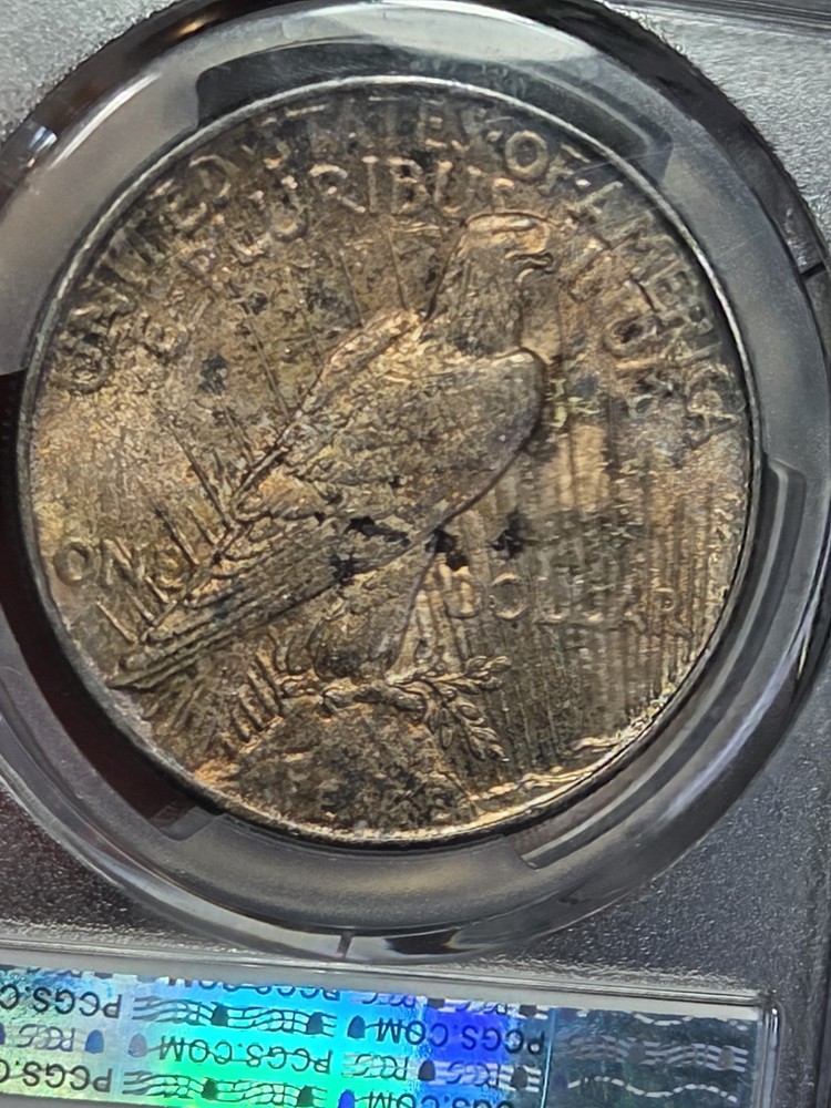 1925 $1 Peace Dollar PCGS MS63 Toned
