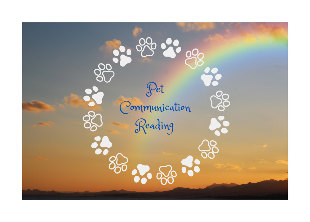 Pet Communication Reading