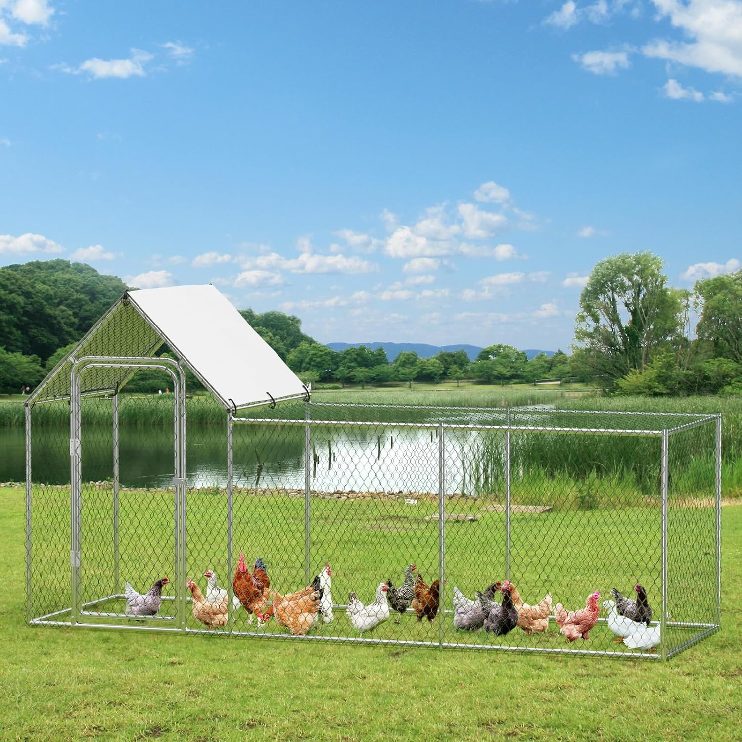 Large Metal Chicken Coop Heavy Duty Reinforced Walk In Poultry Cage for Chickens