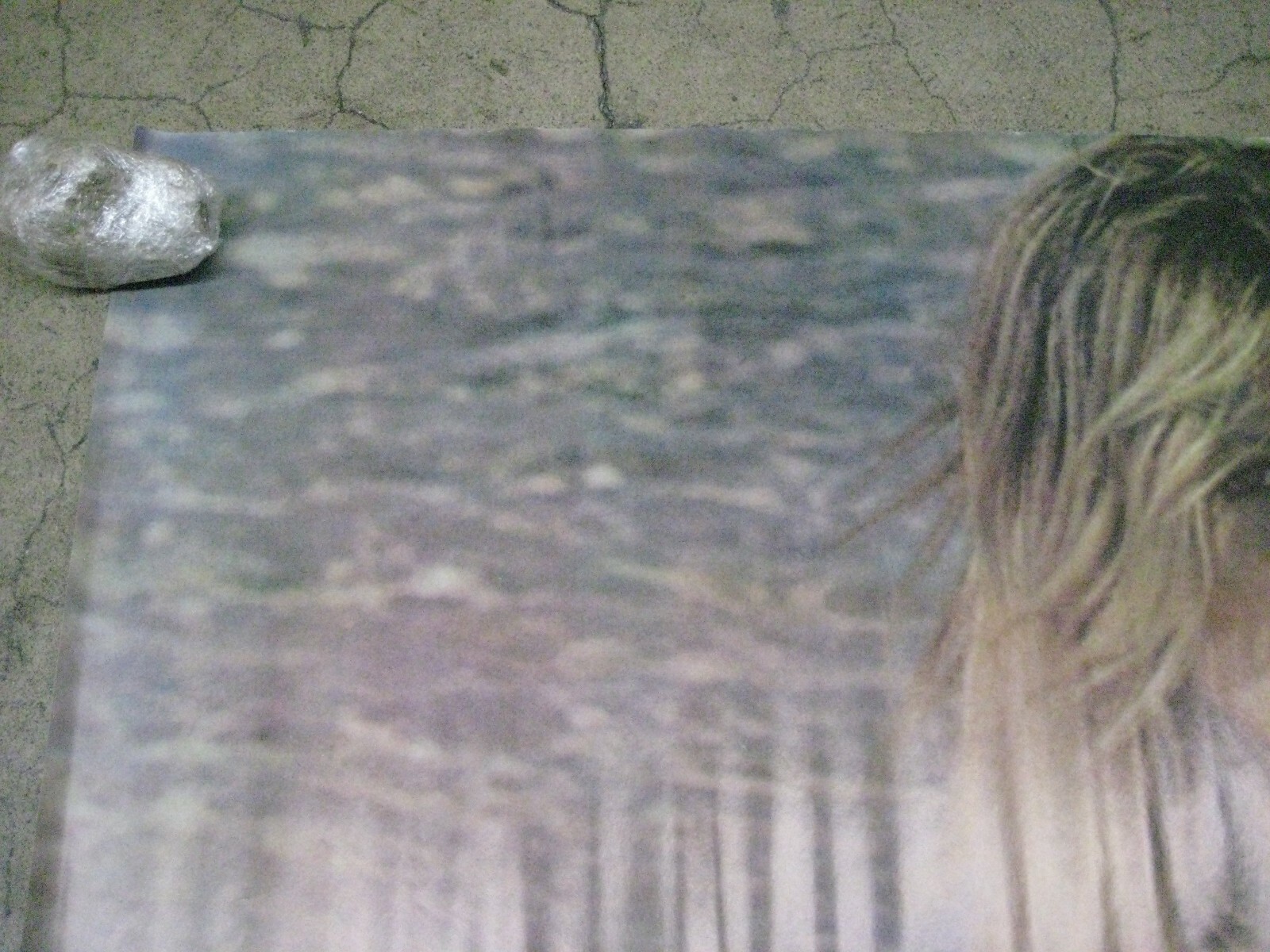 Stephani Penthouse pet Poster 1980's car garage man cave C242