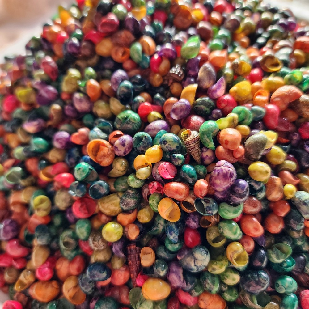 Tiny Dyed Shells Craft Supply Assorted Colors 100g Bag 6–9mm