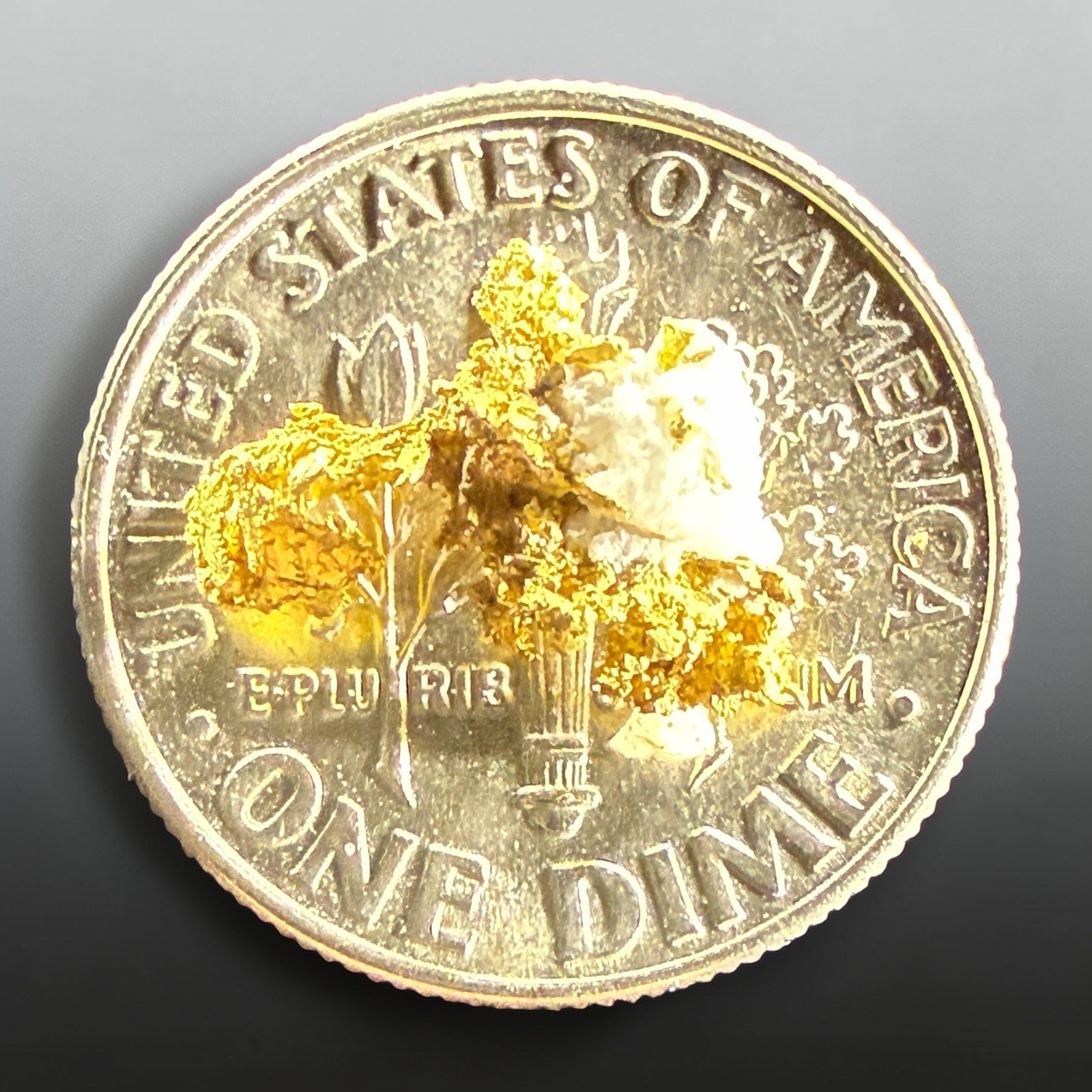 .540 GRAMS GRASS VALLEY NEVADA CRYSTALLIZED GOLD QUARTZ SPECIMEN "SWAN" #GQ540