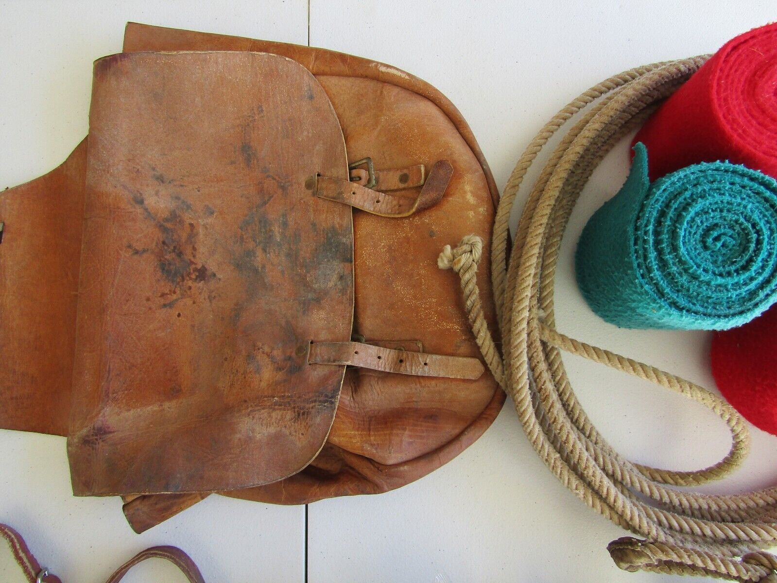 Horse riding and care equipment large lot !