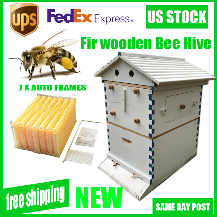 Big Auto Seep Beehive Honey Bee Hive Box Beekeeping Boxes + 7xPlastic Bee Frames