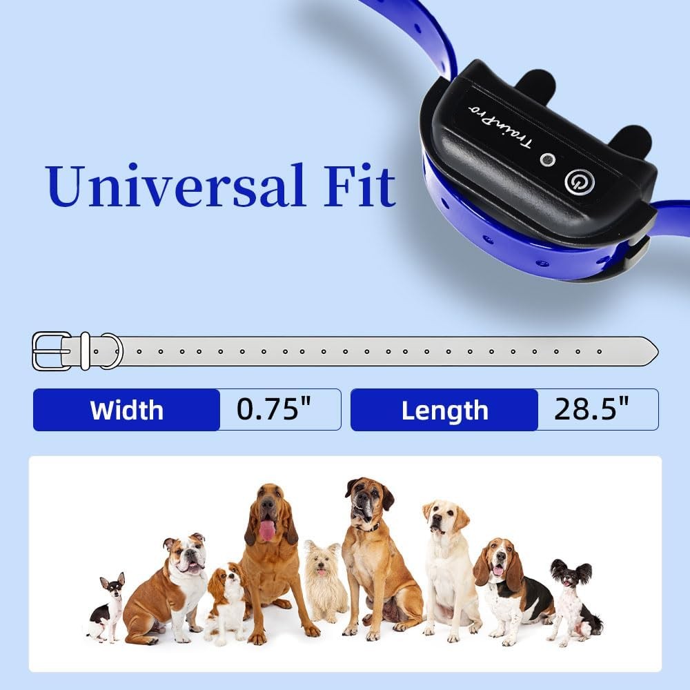 27.5"x3/4" Replacement Dog Collar Strap Double Buckle Universal