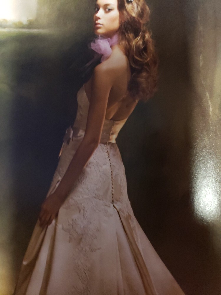 Brides March/April 2009 Magazine