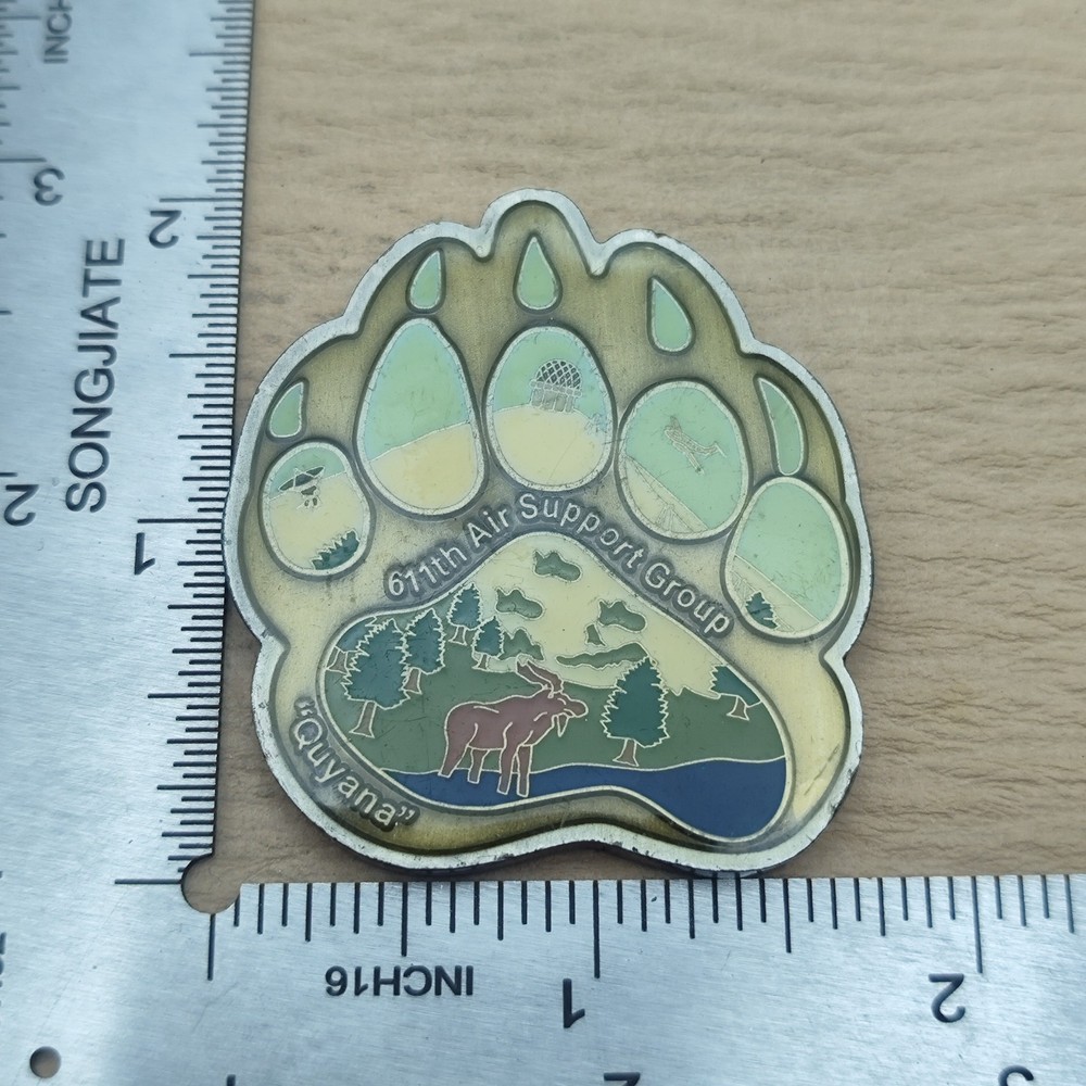 611th Air Support Group Challenge Coin