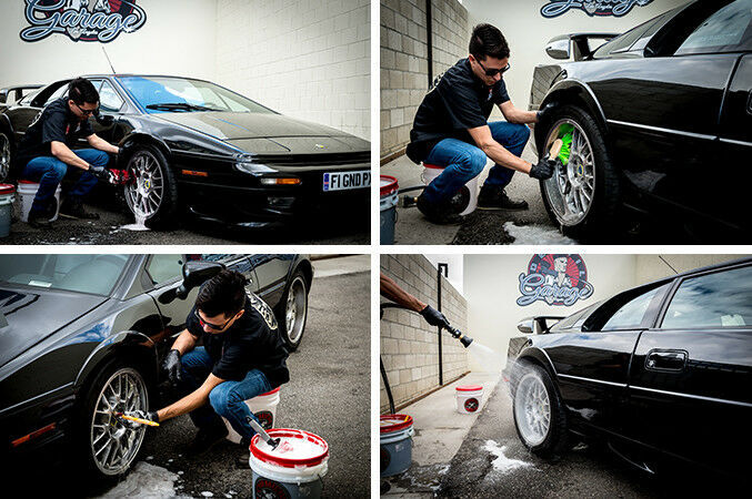 Chemical Guys SPI21516 - DeCon Pro Iron Remover (16 oz)