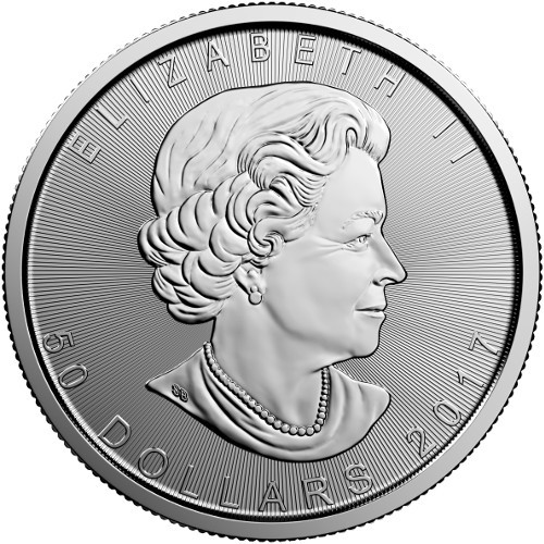 1 oz Canadian Platinum Maple Leaf Coin (Random Year)