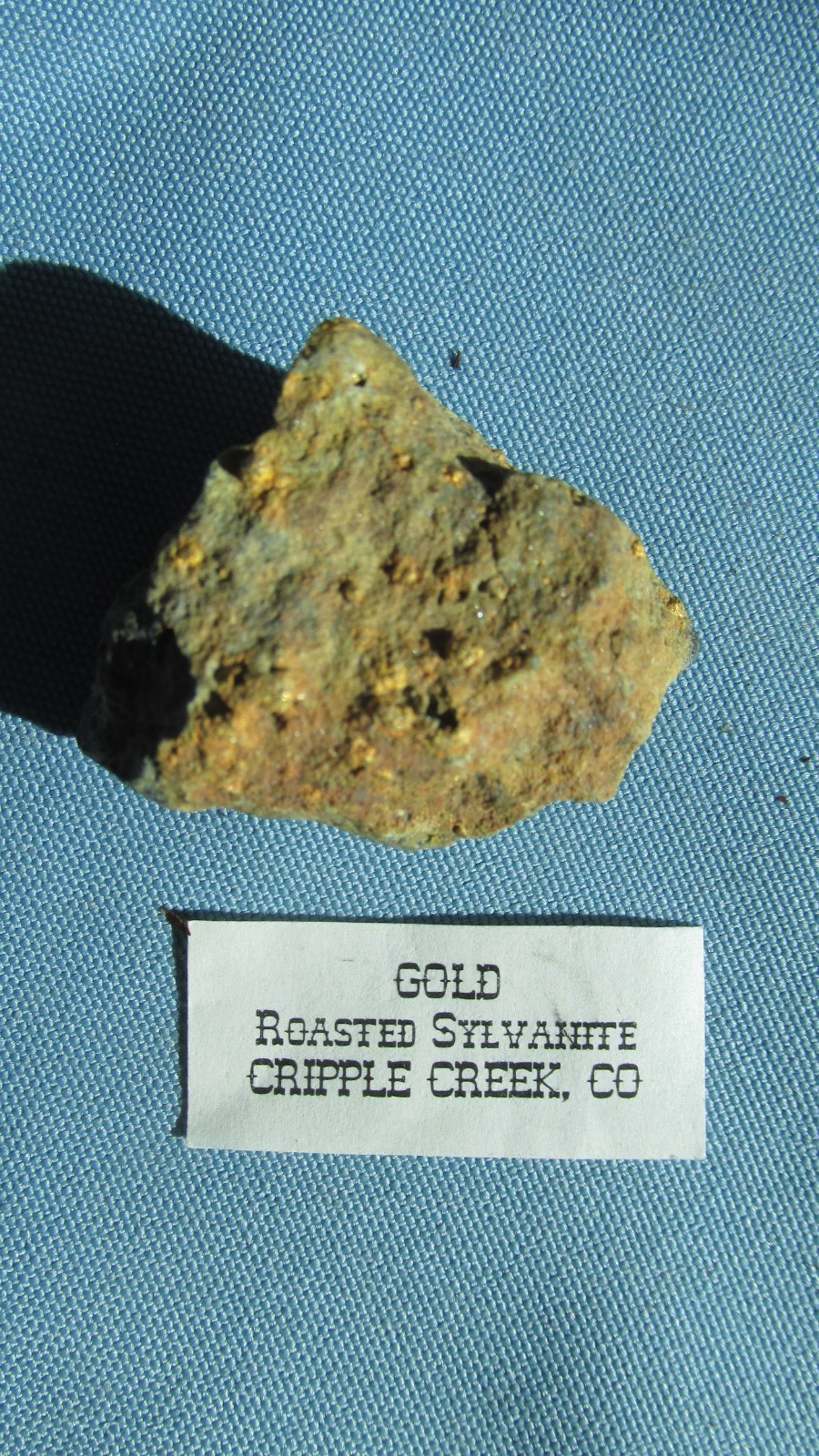 Cripple Creek Colorado Roasted Sylvanite Visible Free Gold Specimen-1.50 x 1.00