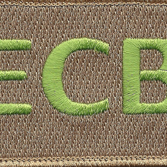 22nd Training Squadron ECB Green Patch Hook And Loop