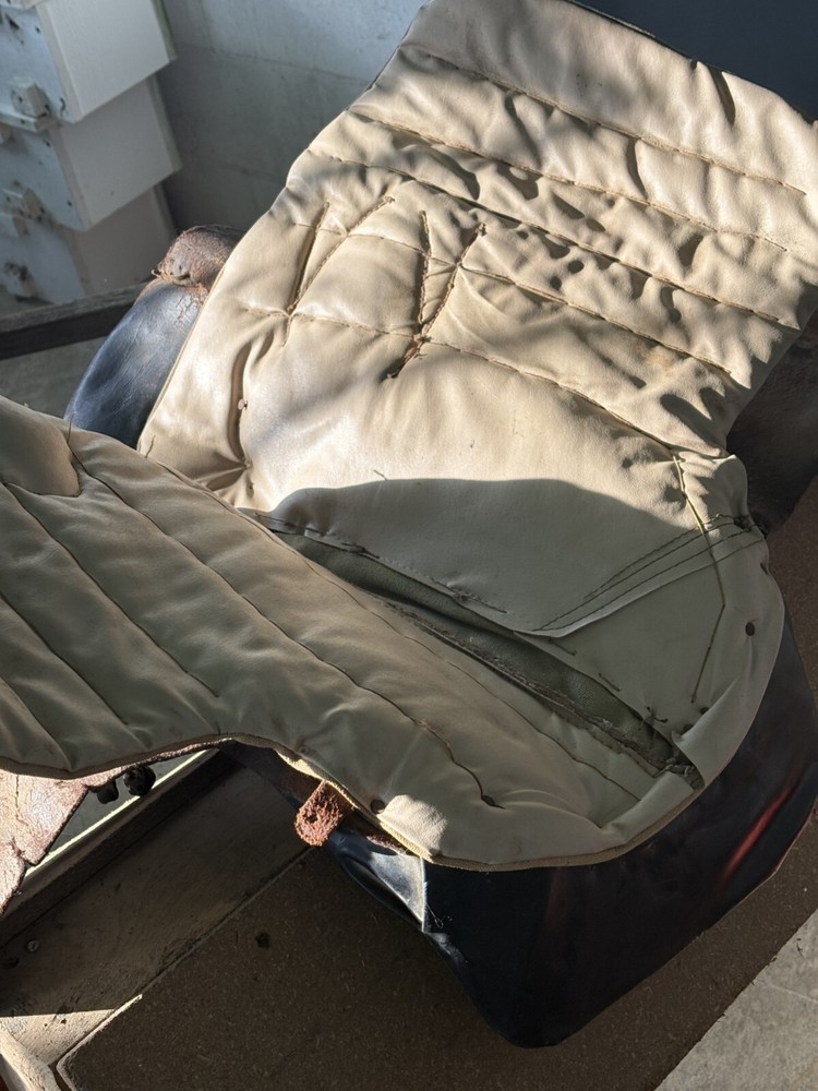 antique sidesaddle equestrian