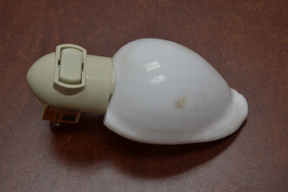 WHITE EGG COWRIE SEA SHELL NIGHT LIGHT KITCHEN #7986