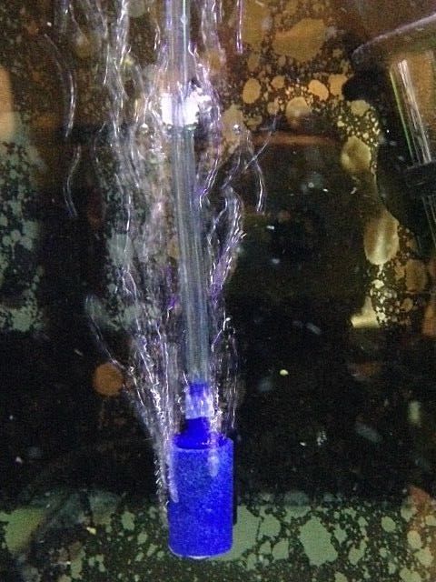 50 pcs 1" Air Stones Aquarium Fish Tank Hydroponic