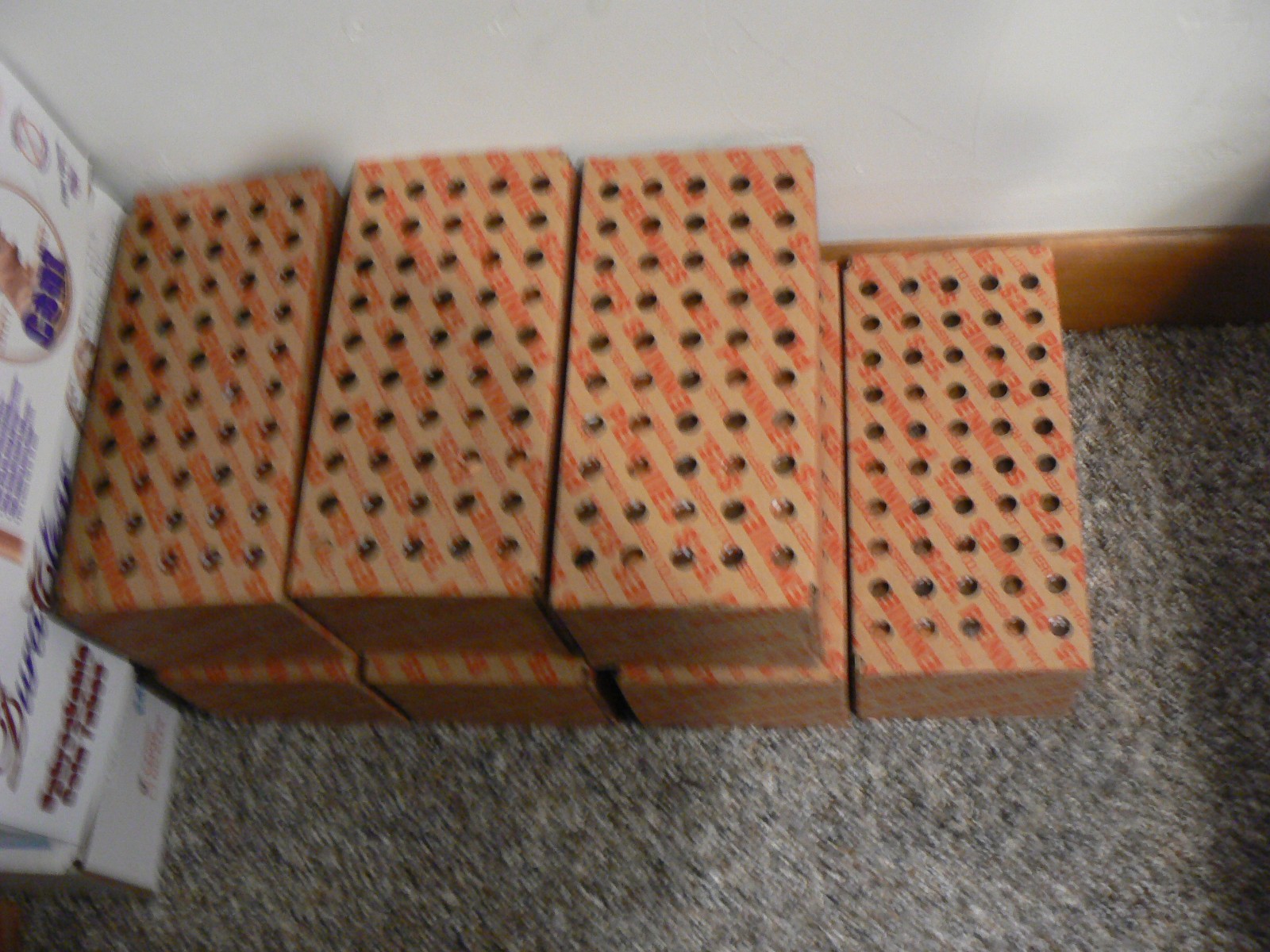 SEALED $25 Bank Box 2500 Pennies 50 ROLLS For Error's Also Some BU Free Shipping