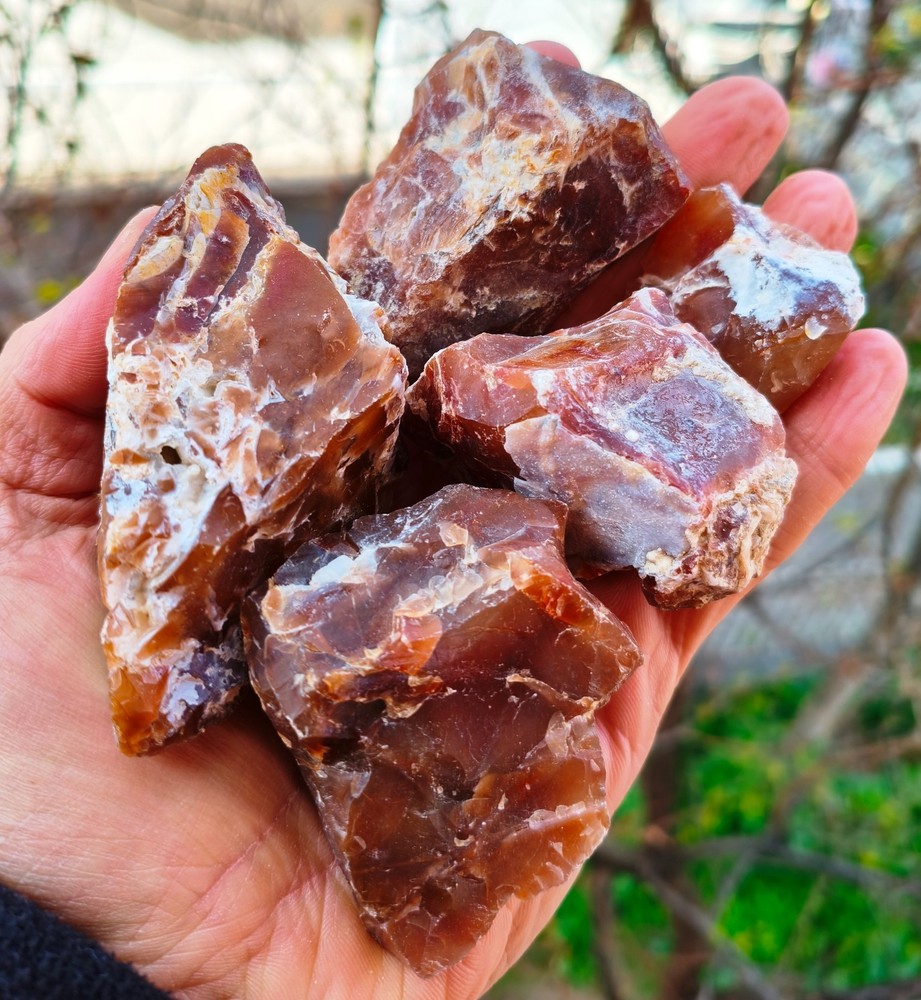 5 Specimens Raw Red Chalcedony Lot