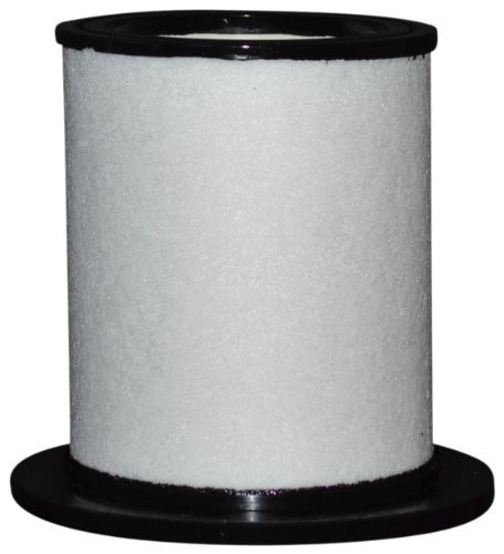 Master Spas X268380 Disposable Filter