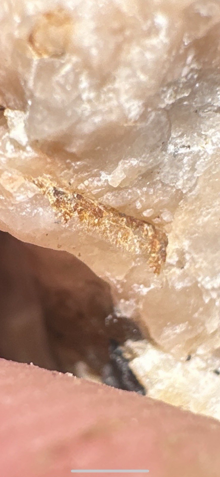 PayStreak™ Gold Ore —🔥 5 lbs 🔥Vein Quartz w/ REAL Visible Gold!