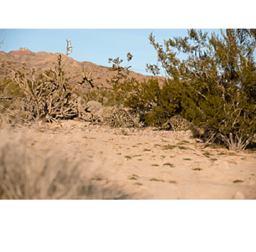 Crye Precision - Compact Assault Ghillie Suit - Multicam - Large