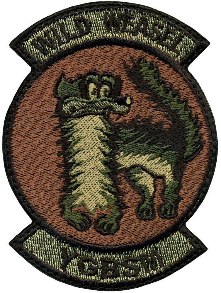 USAF 36th FIGHTER SQUADRON – WILD WEASEL – OCP PATCH