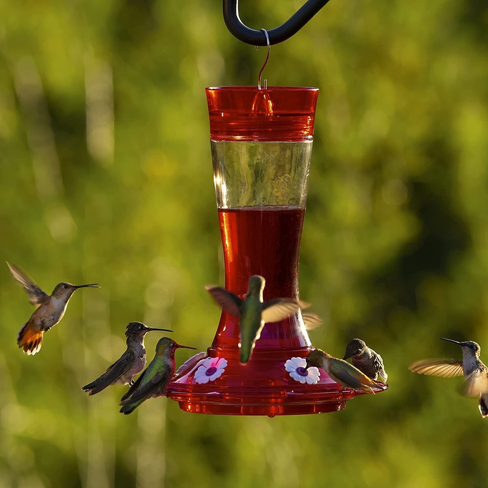 Garnet Hummingbird Feeder