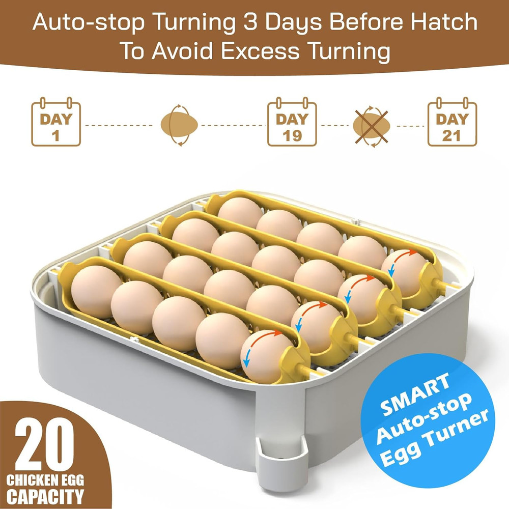 Egg Incubator with Humidity Display 20 Eggs for Hatching Chickens