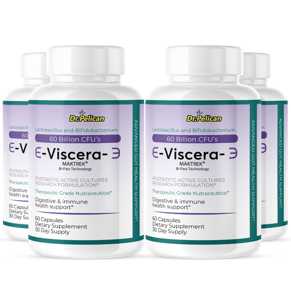 Viscera- Digestive Support- 4 Bottles- 240 Capsules